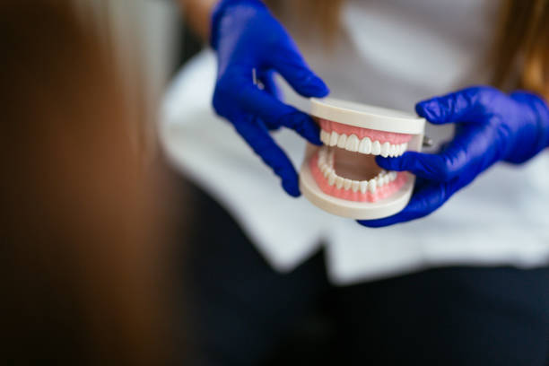 Best Cosmetic Dentistry  in Belleair Beach, FL