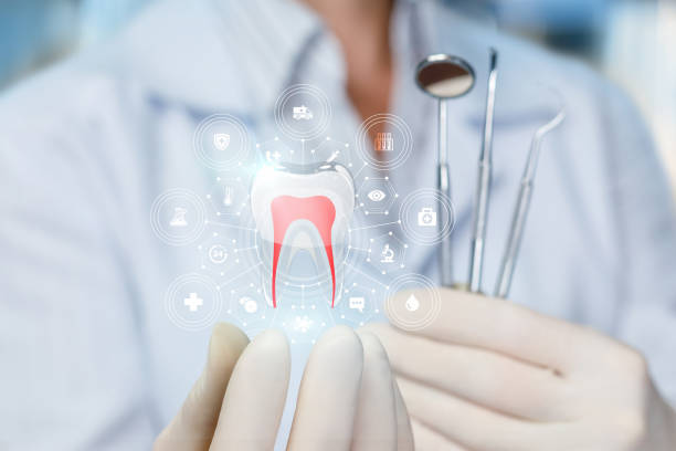 Best General Dentistry  in Belleair Beach, FL